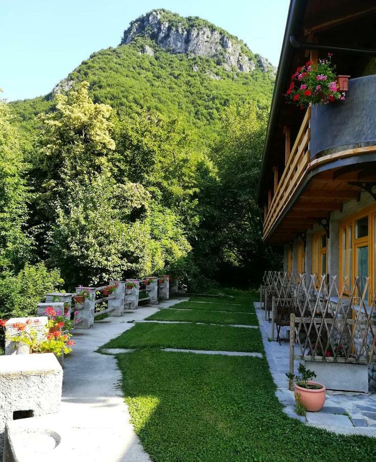 Agriturismo La Selvaggia Mandello del Lario Luaran gambar